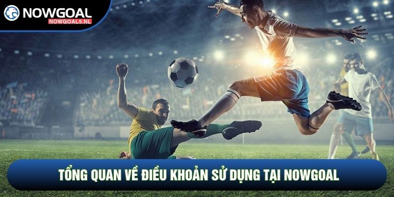 Tổng quan về điều khoản sử dụng tại Nowgoal