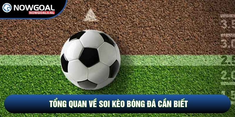Tổng quan về soi kèo bóng đá cần biết